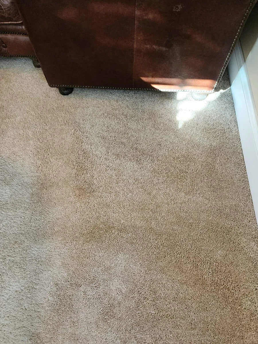 Amazon Customer — customer photo 2