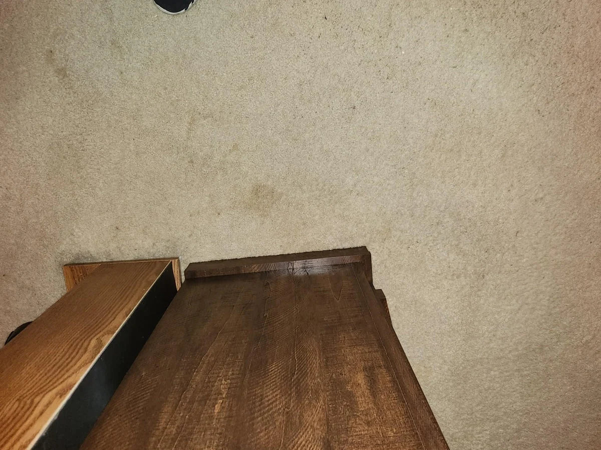 Tabbypip — customer photo 1