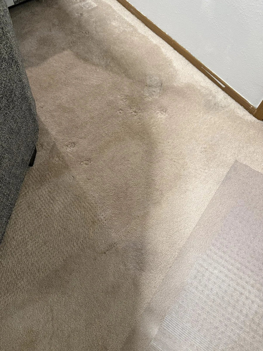 Lisa McLaughlin — customer photo 2